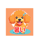 犬のトイプードルの背景ありイラスト（個別スタンプ：3）