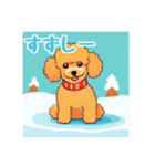 犬のトイプードルの背景ありイラスト（個別スタンプ：5）