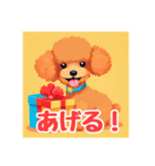 犬のトイプードルの背景ありイラスト（個別スタンプ：8）