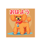 犬のトイプードルの背景ありイラスト（個別スタンプ：24）