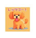 犬のトイプードルの背景ありイラスト（個別スタンプ：27）