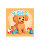 犬のトイプードルの背景ありイラスト（個別スタンプ：30）