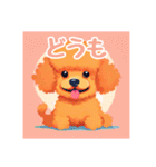 犬のトイプードルの背景ありイラスト（個別スタンプ：32）