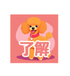 犬のトイプードルの背景ありイラスト（個別スタンプ：34）