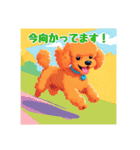 犬のトイプードルの背景ありイラスト（個別スタンプ：37）