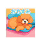 犬のトイプードルの背景ありイラスト（個別スタンプ：39）