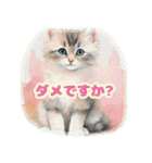 かわいい猫のふんわりスタンプ（個別スタンプ：37）