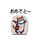 ドット絵の猫たち（個別スタンプ：21）