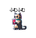 ドット絵の猫たち（個別スタンプ：31）