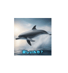 質感リアルなイルカの日常質問（個別スタンプ：33）