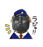 みぃこねこ（個別スタンプ：13）