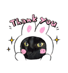 みぃこねこ（個別スタンプ：22）