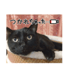 みぃこねこ（個別スタンプ：26）