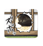 みぃこねこ（個別スタンプ：27）