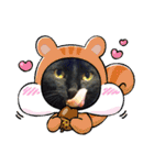 みぃこねこ（個別スタンプ：31）