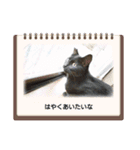 みぃこねこ（個別スタンプ：37）