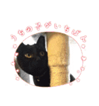 みぃこねこ（個別スタンプ：38）
