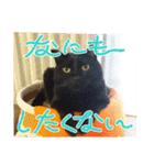 みぃこねこ（個別スタンプ：39）
