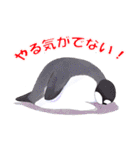 ペンギンのほっこり日常（個別スタンプ：22）