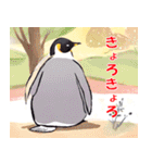 ペンギンのほっこり日常（個別スタンプ：29）