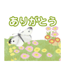 ふうのおはな（個別スタンプ：5）