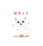 ウィスカーのかわいい白い子猫物語（個別スタンプ：10）