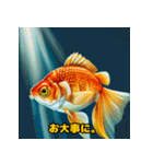 ゴージャスな金魚の仲間たち（個別スタンプ：25）