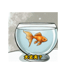 ゴージャスな金魚の仲間たち（個別スタンプ：31）