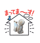 ぷー＆ちー（個別スタンプ：19）