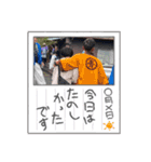 ペリカンの休日（個別スタンプ：11）