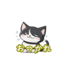 新登場！猫好きのための可愛いLINEスタンプ（個別スタンプ：1）