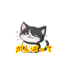 新登場！猫好きのための可愛いLINEスタンプ（個別スタンプ：3）