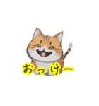 新登場！猫好きのための可愛いLINEスタンプ（個別スタンプ：4）