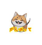 新登場！猫好きのための可愛いLINEスタンプ（個別スタンプ：9）