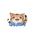 新登場！猫好きのための可愛いLINEスタンプ（個別スタンプ：11）