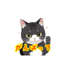 新登場！猫好きのための可愛いLINEスタンプ（個別スタンプ：12）