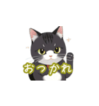 新登場！猫好きのための可愛いLINEスタンプ（個別スタンプ：13）