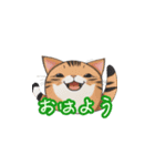 新登場！猫好きのための可愛いLINEスタンプ（個別スタンプ：14）