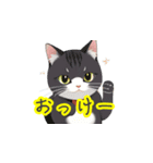 新登場！猫好きのための可愛いLINEスタンプ（個別スタンプ：17）