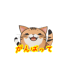 新登場！猫好きのための可愛いLINEスタンプ（個別スタンプ：18）