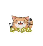 新登場！猫好きのための可愛いLINEスタンプ（個別スタンプ：20）