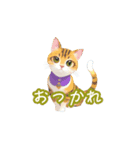 新登場！猫好きのための可愛いLINEスタンプ（個別スタンプ：21）