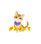 新登場！猫好きのための可愛いLINEスタンプ（個別スタンプ：22）