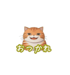 新登場！猫好きのための可愛いLINEスタンプ（個別スタンプ：23）