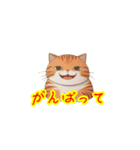 新登場！猫好きのための可愛いLINEスタンプ（個別スタンプ：24）