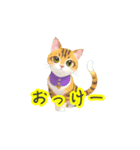 新登場！猫好きのための可愛いLINEスタンプ（個別スタンプ：25）