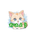 新登場！猫好きのための可愛いLINEスタンプ（個別スタンプ：31）