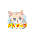 新登場！猫好きのための可愛いLINEスタンプ（個別スタンプ：36）