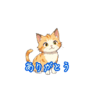 新登場！猫好きのための可愛いLINEスタンプ（個別スタンプ：37）