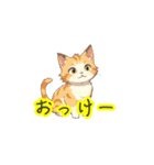 新登場！猫好きのための可愛いLINEスタンプ（個別スタンプ：40）